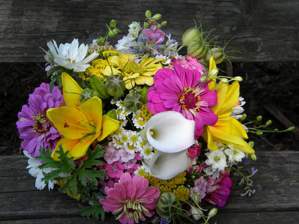zinnia bouquet-from_Sringwell_Gardens
